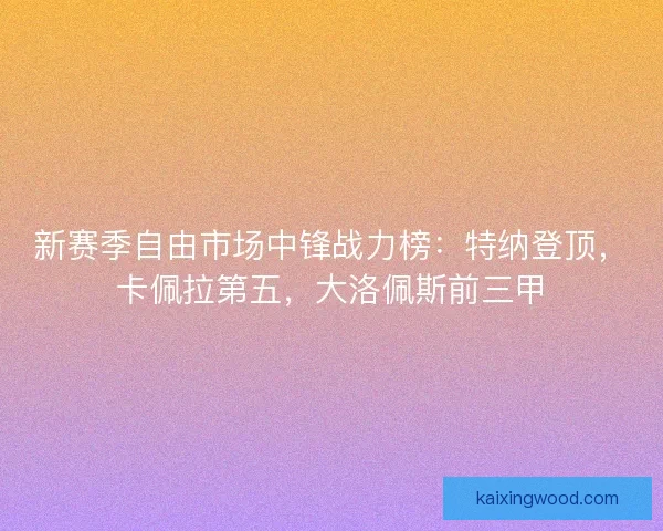 新赛季自由市场中锋战力榜：特纳登顶，卡佩拉第五，大洛佩斯前三甲