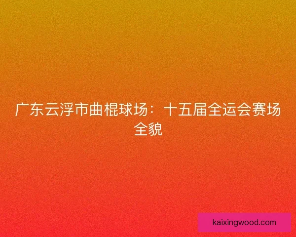广东云浮市曲棍球场：十五届全运会赛场全貌