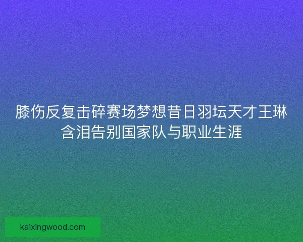 膝伤反复击碎赛场梦想昔日羽坛天才王琳含泪告别国家队与职业生涯